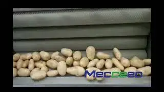 Brush Washing Machine Potato Washing And Peeling Machine