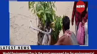 World environment day :: News Feed