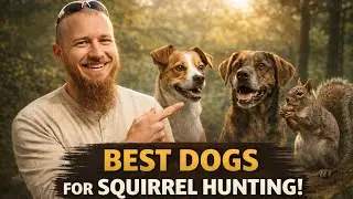 These Breeds Dominate Squirrel Hunting!