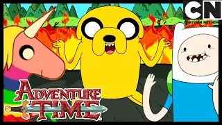 Decisão dividida | Hora de Aventura Brasil | Cartoon Network 🇧🇷