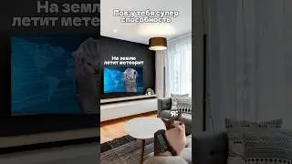 Пов: у тебя супер способность Летать #meme #cat #memes #memecat #memescat