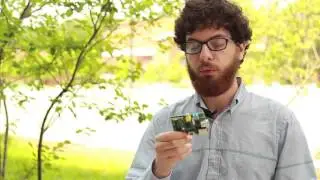 The Urban Honey Bee Project and Data Visualization