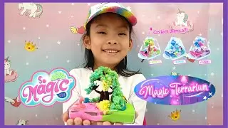 So Magic DIY Magic Terrarium