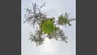 This One