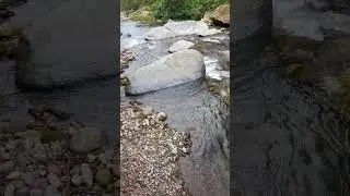 Acquatrekking no Rio Mogi