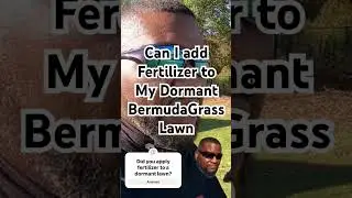 Can I apply fertilizer to a Dormant Bermuda Grass Lawn?