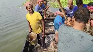 Boro March Dhara 🐟🐟🐟