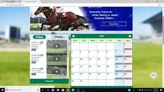 Japanese Horse racing basics JRA and WINNING!