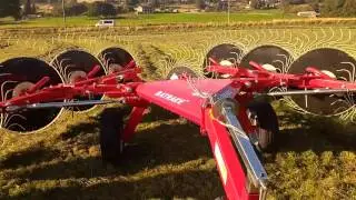 Enorossi 10 wheel batrake 2