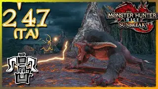 [MHR:S] HBG vs Rajang |  2'47 - TA Rules + Mods