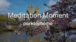 #ParksAtHome Meditation Moment: Central Park