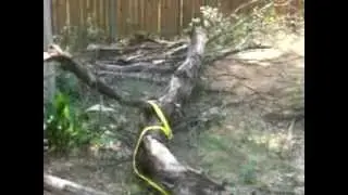 Jeep Winch Tree Fall FAIL