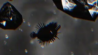 Parasitic Aberration (Evolution Of Species 2 Online)