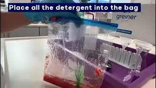 DNA extraction from strawberries