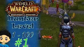World of WarCraft: Warlords of Draenor Level 1 to 100 Blood Elf Hunter Episode 1