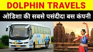 DOLPHIN TRAVELS ODISHA | INFORMATION