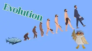 Fish, Monkey, Man | Evolution