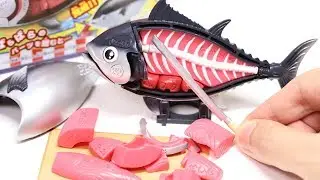 Anatomy Tuna DIY 3D Puzzle