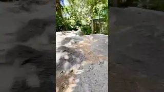 How To Spread Crusher Dust before Compaction in Brisbane, is your place difficult access?