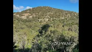 Youyangs