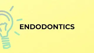 What is the meaning of the word ENDODONTICS?