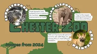 Chester Zoo 2024