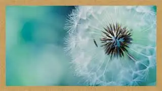 Benefit beyond concepts.......Rupert Spira