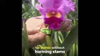 Multi purpose Weatherproof Garden Clips