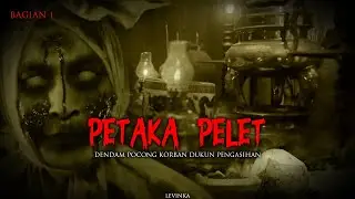 PELET MEMBAWA PETAKA / PART 1 by LEVINKA