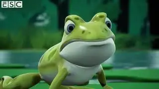 The Beauty Of Nature (Short Animated Film)