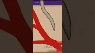 How mosquito bite #facts #science #sciencefacts #shorts #ytshorts