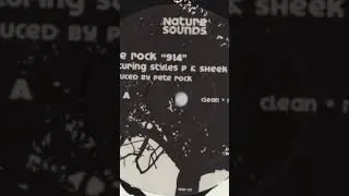 Pete Rock - 914 [Clean] (Sheek's Verse) [UnMixed] #PeteRock #StylesP #SheekLouch #914 #2006