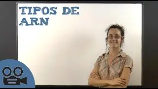 Tipos de ARN