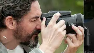 3 Best Superzoom Cameras for Birding