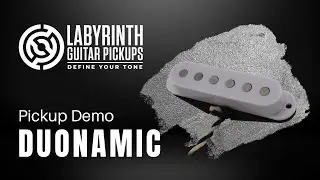 Duonamic Single Coil Set Pickup Demo - Labyrinth Guitar Pickups