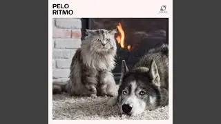 Frequenze Guarigione per Cani