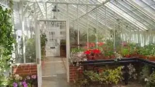 The Vyne