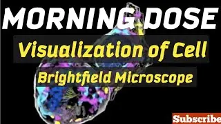 Morning Dose/Visualization of Cells/ Technique unit/ Unit No 13/ Brightfield Microscope/MihirKumar