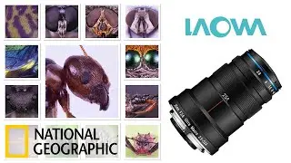 #Extreme #Macro shots with the #Laowa25mm 2.5-5X & National Geographic