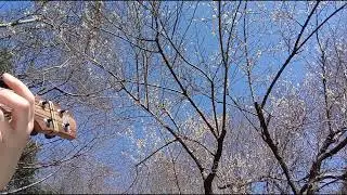 Bloom in your Heart / 名渡山遼（cover）