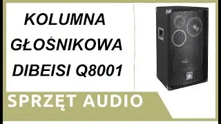 ZIZ - tania kolumna głośnikowa DIBEISI Q8001, 70W RMS - cz.1