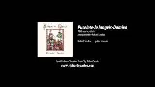 Pucelete-Je languis-Domino