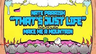 NATE PARRISH - THAT'S JUST LIFE - Official Song Visualizer