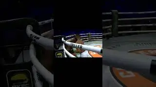 Wild KO's! Best Of BKFC - (9/23)