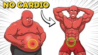 The #1 Method To Lose Belly Fat