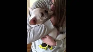 This is Onion