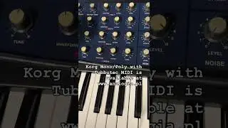 Korg Mono/Poly w/ Tubbutec in Polychord triggered by Boss DR-110 #tubbutec #korgmonopoly #bossdr110