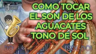 COMO TOCAR TUBA | EL SON DE LOS AGUACATES | TONO DE SOL