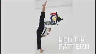 Red Tip Pattern by Taeseong Taekwondo