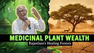 Diversity of medicinal plant with special reference to Rajasthan.